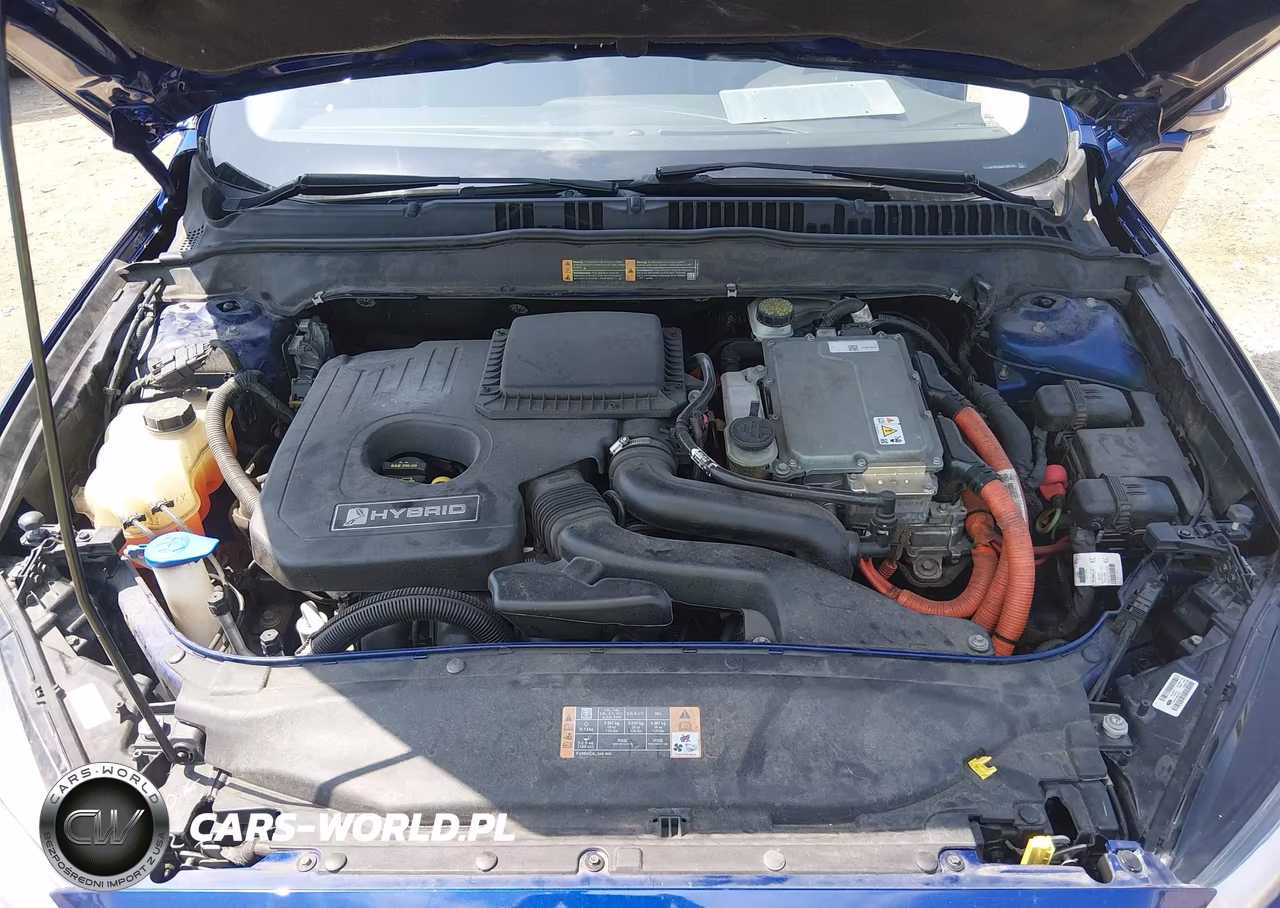 2014 Ford Fusion Hybrid Titanium VIN:3FA6P0RU8ER168185 - 10