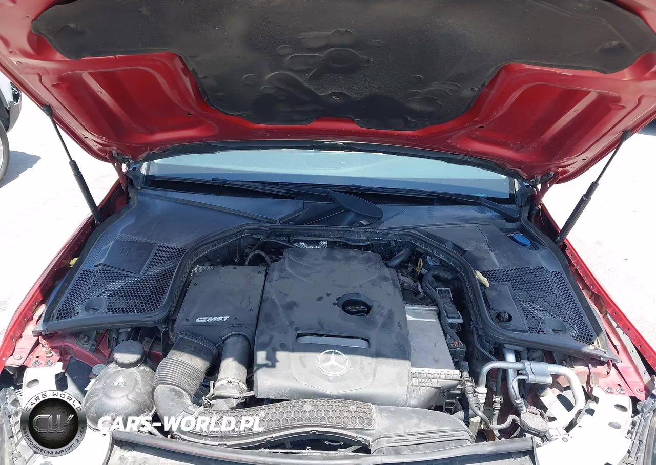 2018 Mercedes-Benz C 300 VIN:55SWF4JB8JU272264 - 10