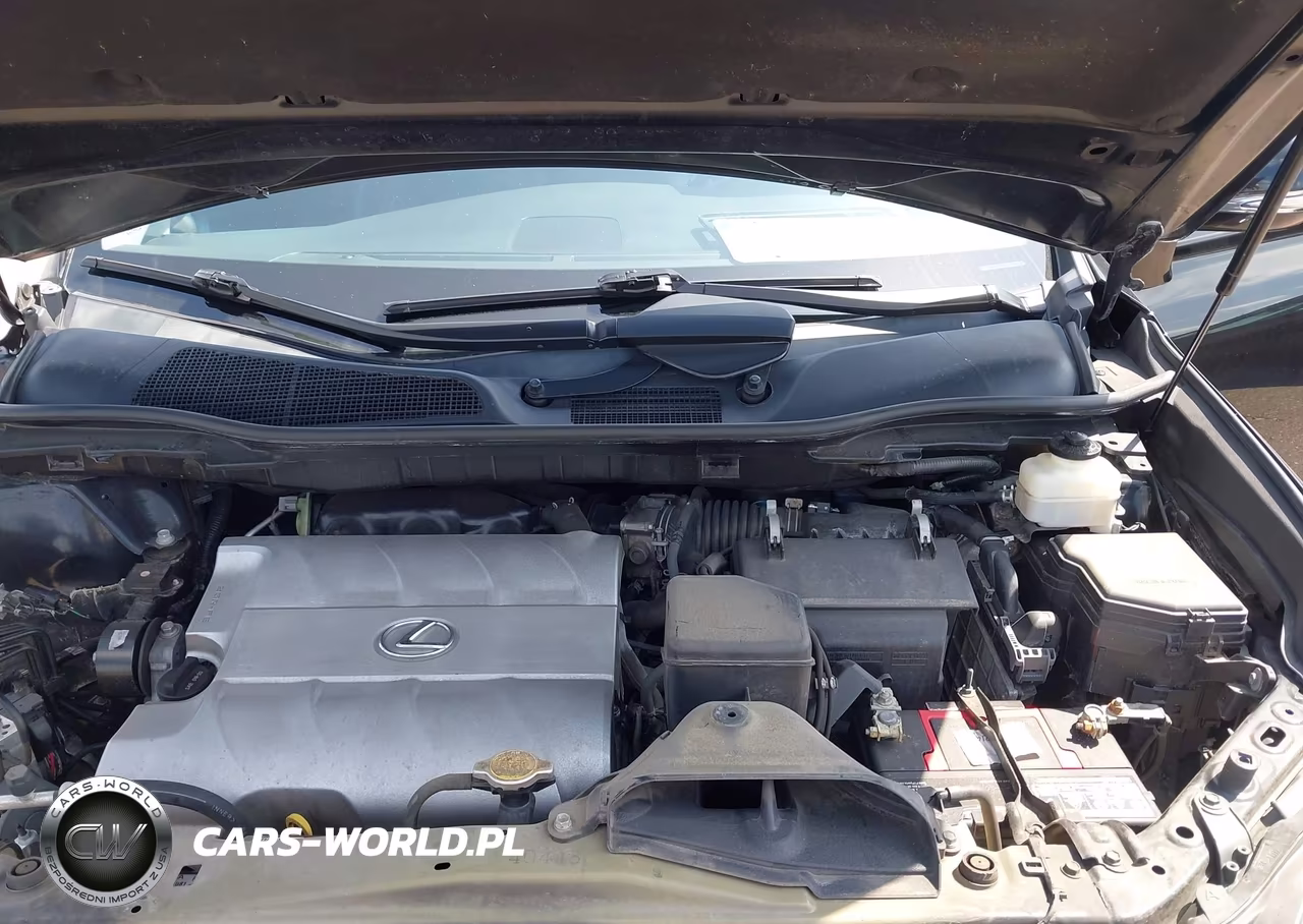 2014 Lexus Rx 350 VIN:2T2BK1BA7EC246857 - 10