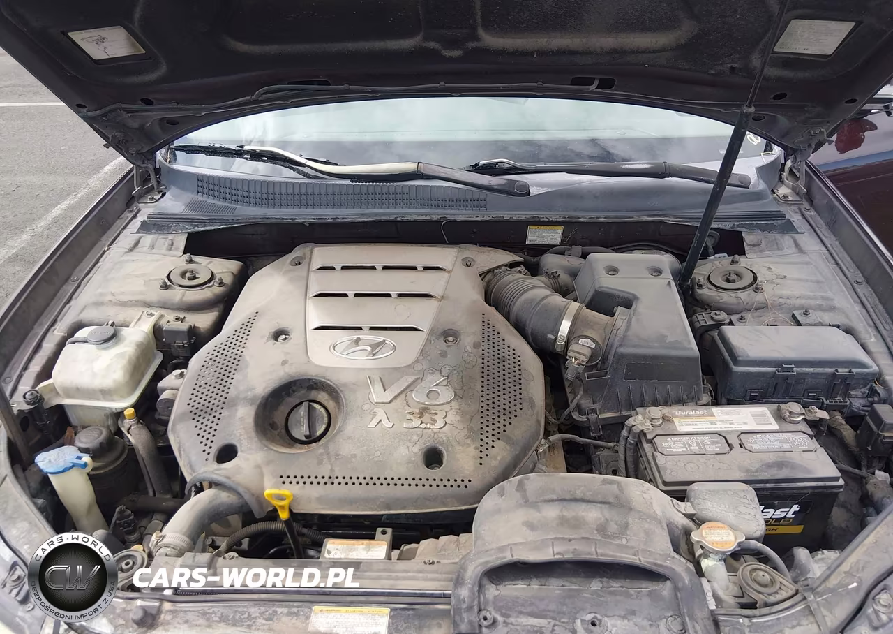 2006 Hyundai Sonata Gls V6-Lx V6 VIN:5NPEU46F96H005027 - 10
