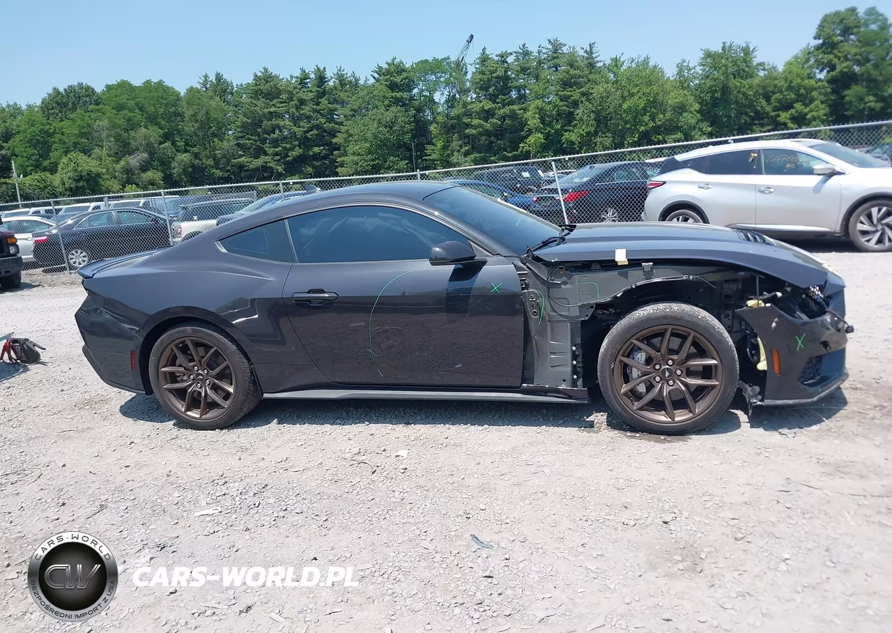 2024 Ford Mustang Gt Premium Fastback VIN:1FA6P8CF3R5410981 - 13