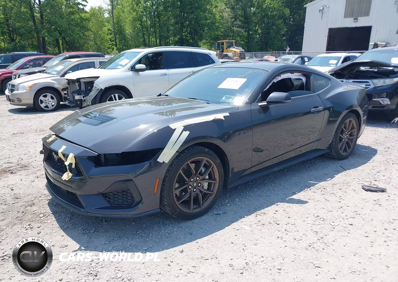 2024 Ford Mustang Gt Premium Fastback VIN:1FA6P8CF3R5410981 - 2