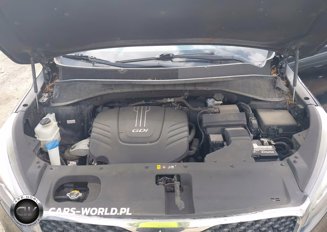 2016 Kia Sorento 3.3L Lx VIN:5XYPG4A54GG015181 - 10