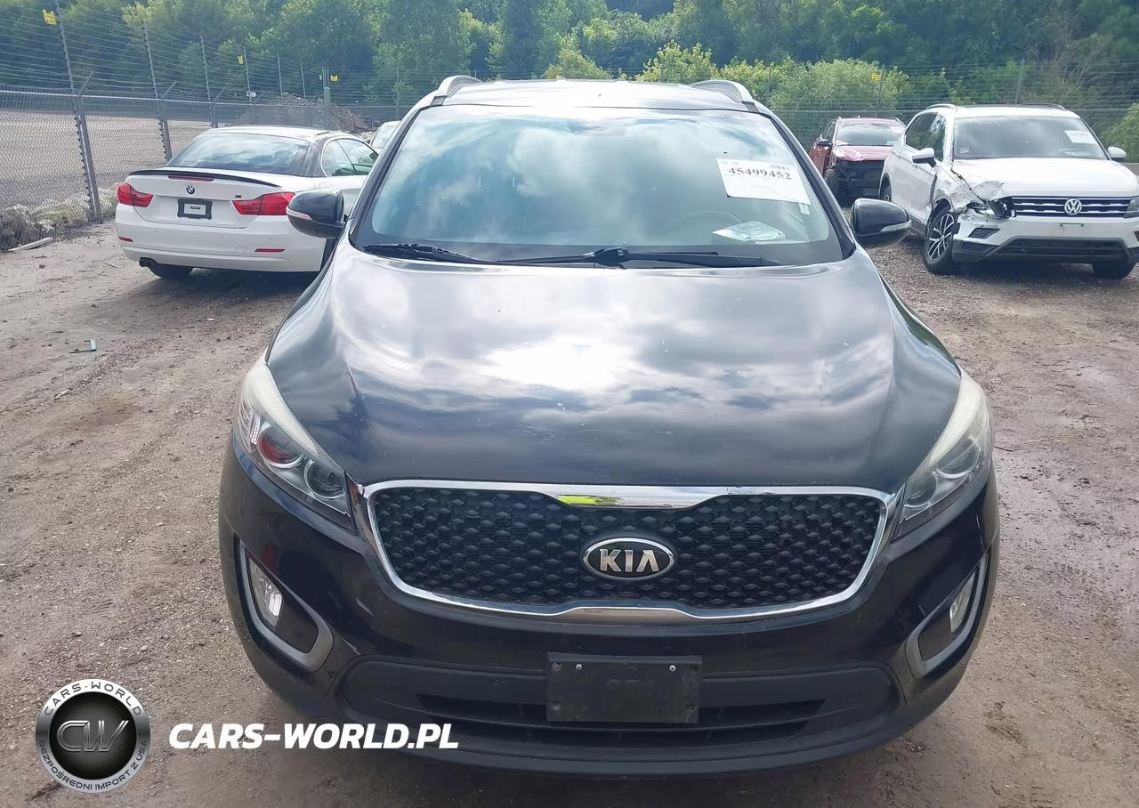 2016 Kia Sorento 3.3L Lx VIN:5XYPG4A54GG015181 - 12