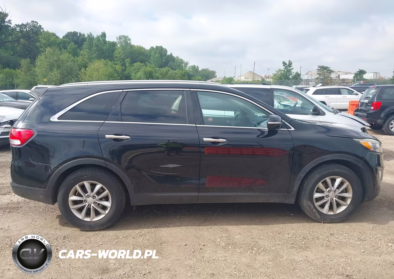 2016 Kia Sorento 3.3L Lx VIN:5XYPG4A54GG015181 - 13