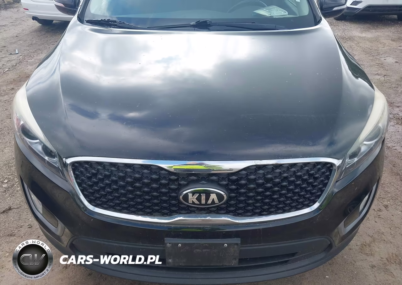 2016 Kia Sorento 3.3L Lx VIN:5XYPG4A54GG015181 - 6