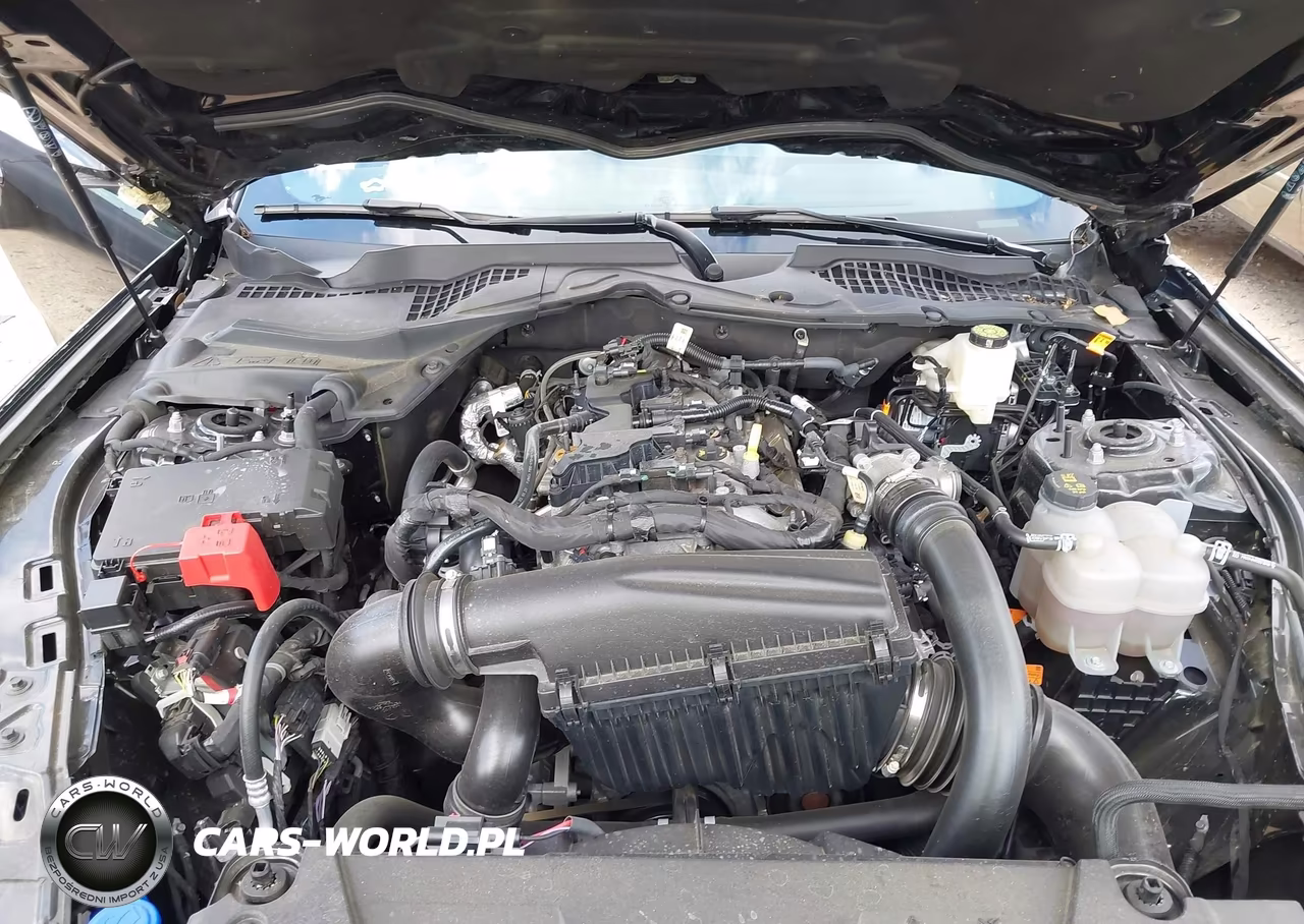 2024 Ford Mustang Ecoboost Premium Fastback VIN:1FA6P8TH8R5133357 - 10