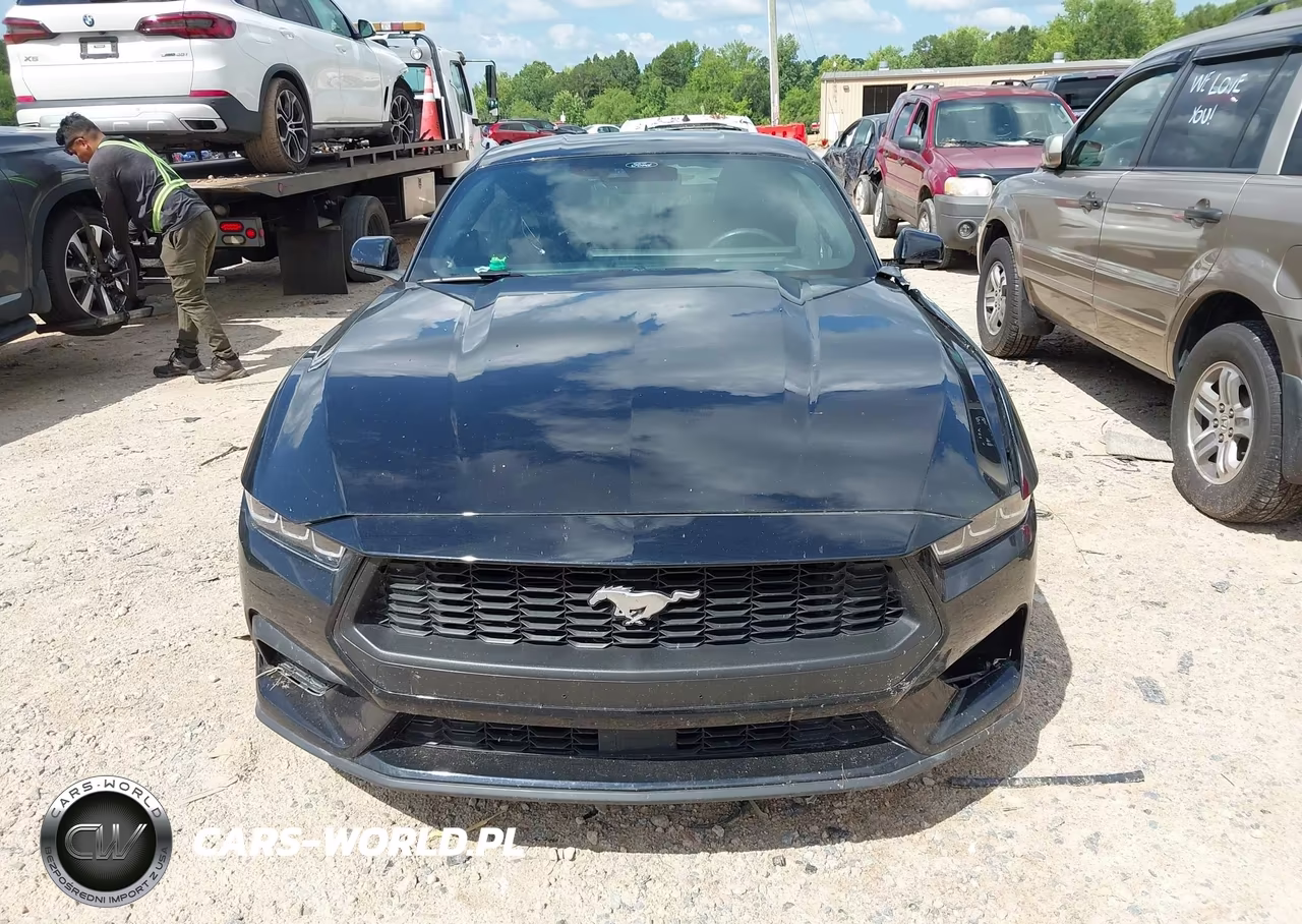 2024 Ford Mustang Ecoboost Premium Fastback VIN:1FA6P8TH8R5133357 - 12