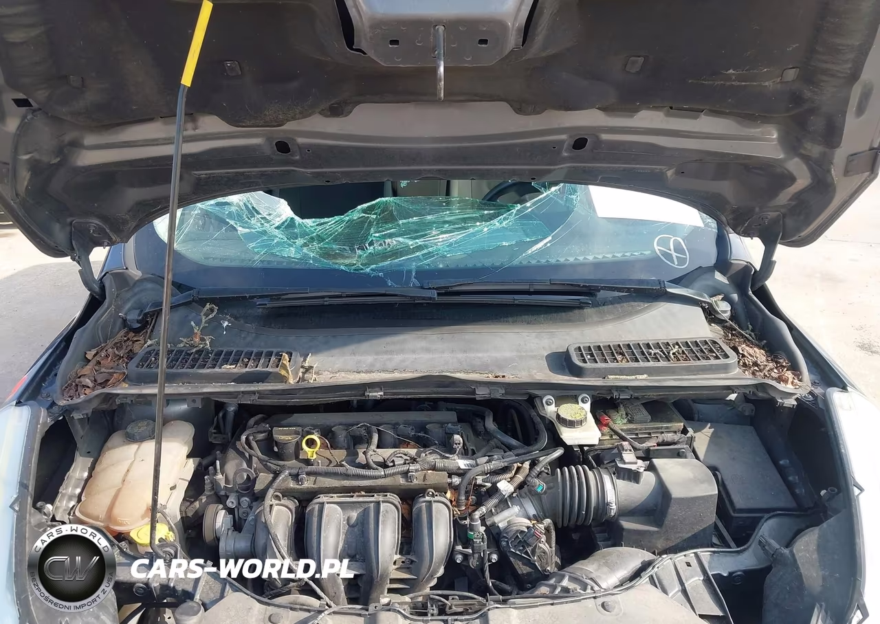 2014 Ford Escape S VIN:1FMCU0F79EUC42092 - 10