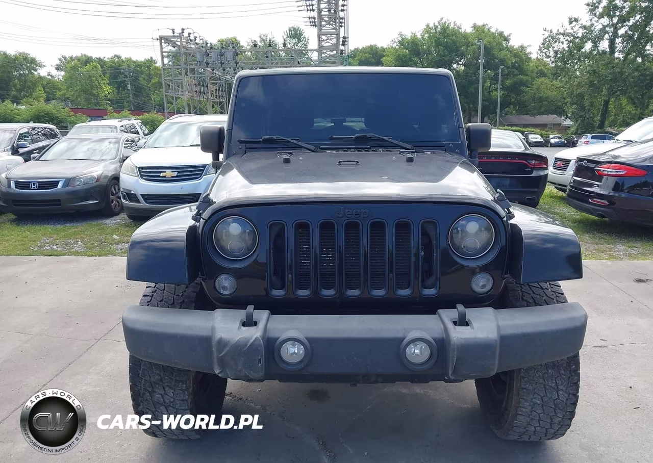 2016 Jeep Wrangler Unlimited Backcountry VIN:1C4BJWEG6GL178857 - 12