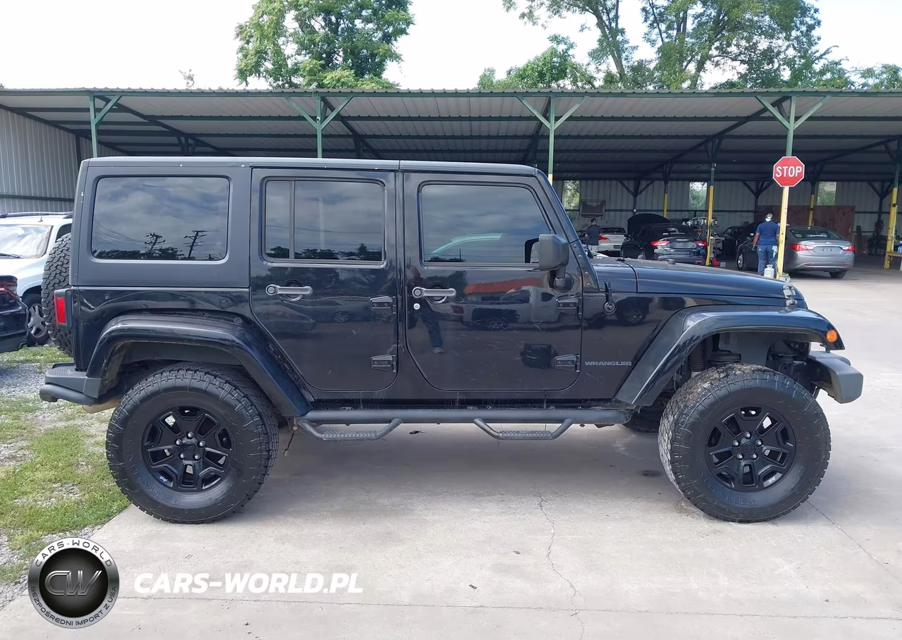 2016 Jeep Wrangler Unlimited Backcountry VIN:1C4BJWEG6GL178857 - 13