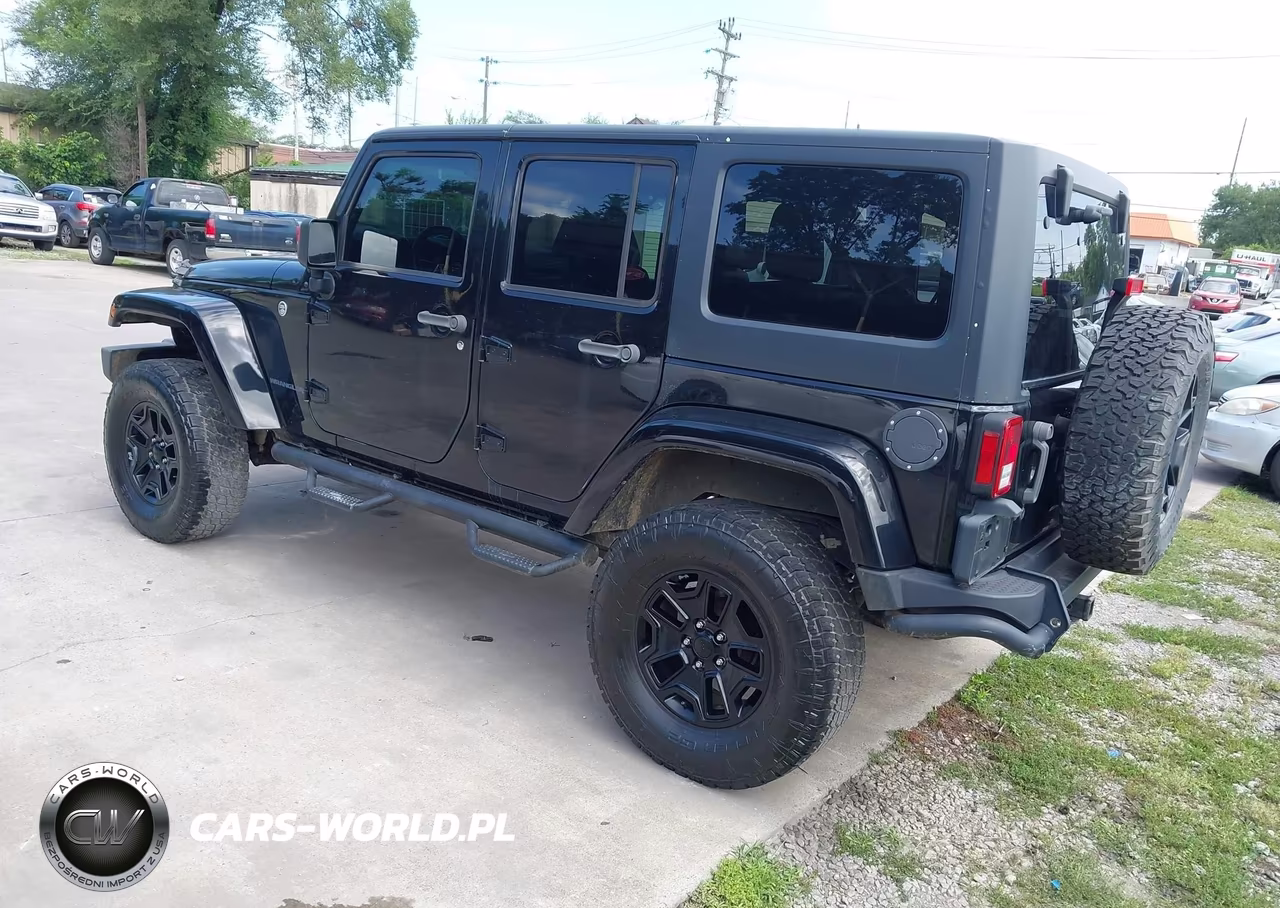 2016 Jeep Wrangler Unlimited Backcountry VIN:1C4BJWEG6GL178857 - 3