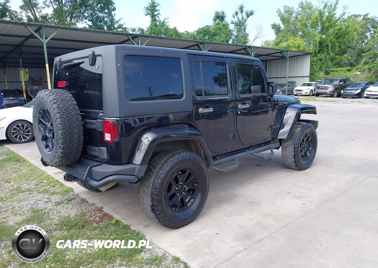 2016 Jeep Wrangler Unlimited Backcountry VIN:1C4BJWEG6GL178857 - 4