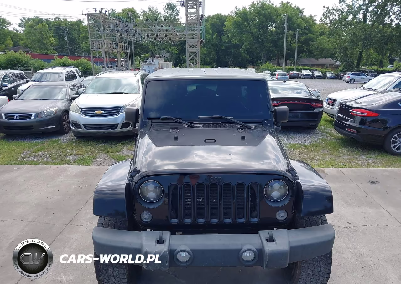 2016 Jeep Wrangler Unlimited Backcountry VIN:1C4BJWEG6GL178857 - 6