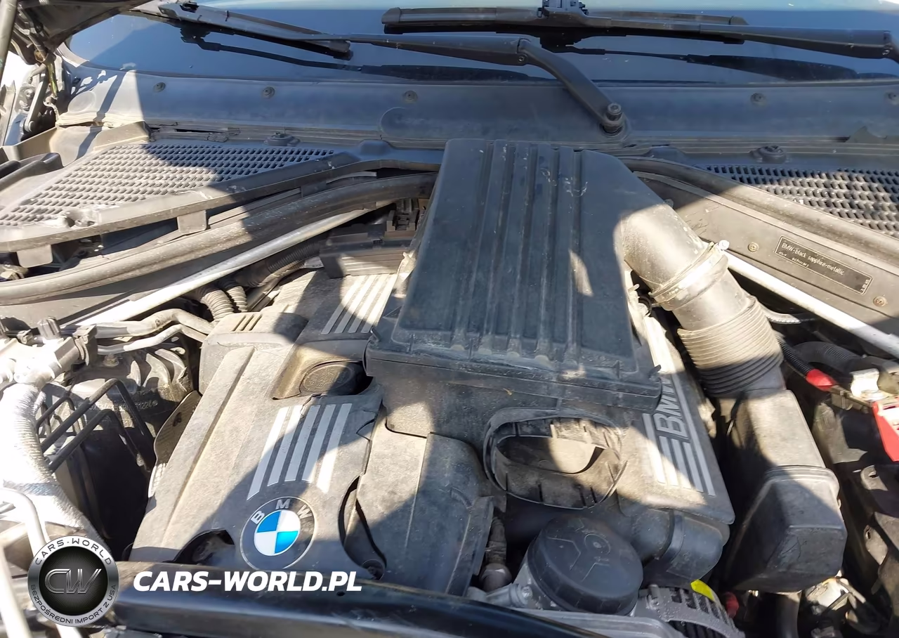 2009 BMW X5 xDrive30I VIN:5UXFE43539L261224 - 10