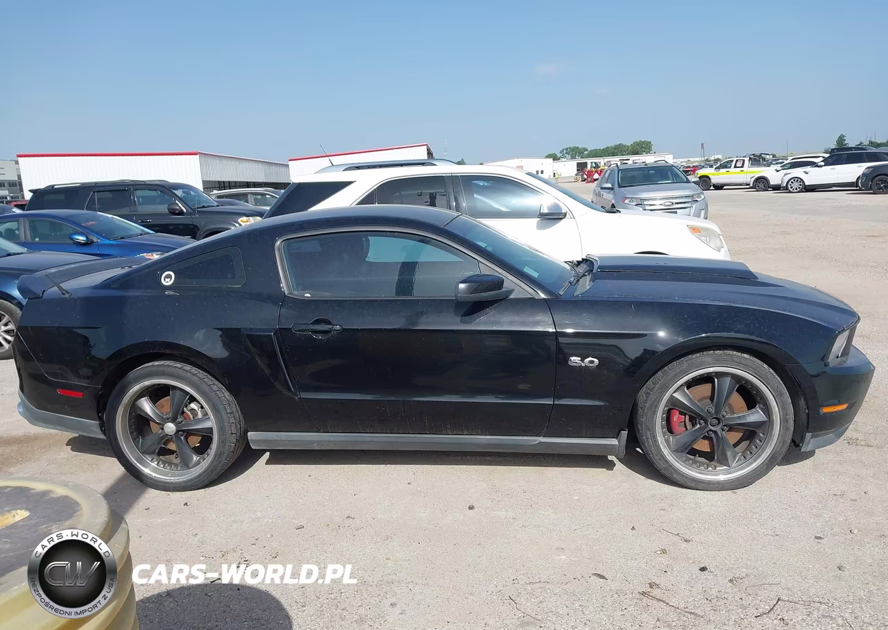 2011 Ford Mustang Gt-Gt Premium VIN:1ZVBP8CF5B5106837 - 13