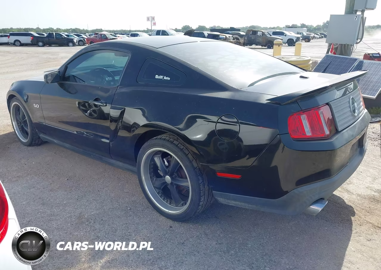 2011 Ford Mustang Gt-Gt Premium VIN:1ZVBP8CF5B5106837 - 3