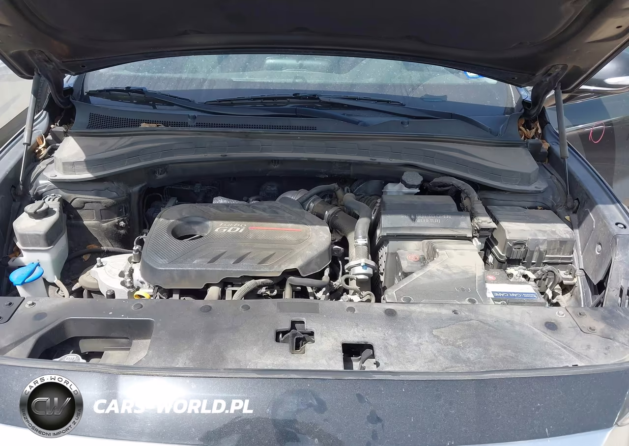 2020 Hyundai Santa Fe Sel 2.0T VIN:5NMS33AA2LH218406 - 10