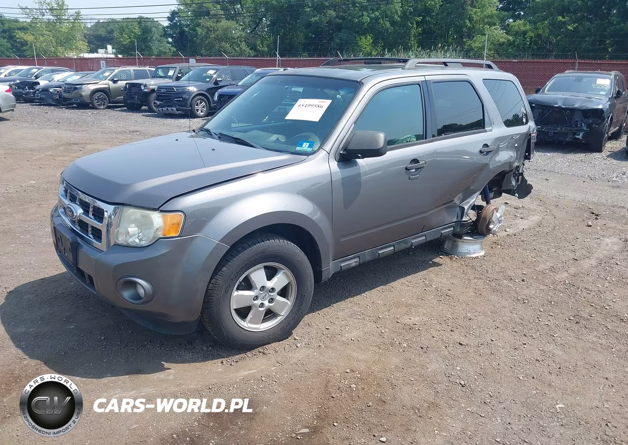 2011 Ford Escape Xlt VIN:1FMCU0D74BKA79880 - 2