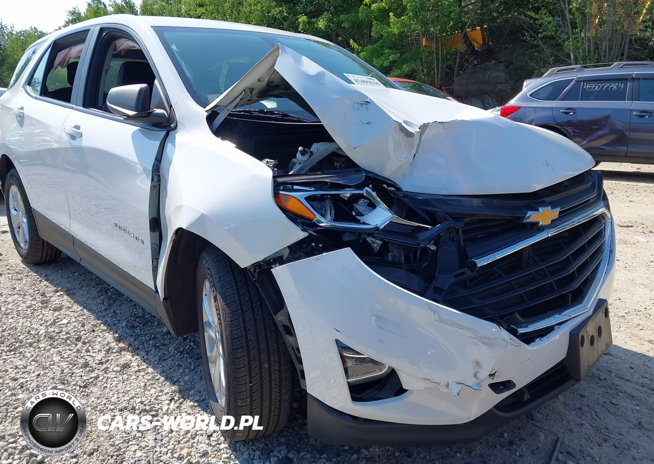 2021 Chevrolet Equinox Fwd Ls VIN:3GNAXHEV2MS177349 - 19