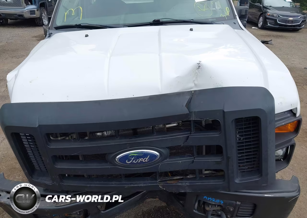 2009 Ford Super Duty F-250 Srw Xl-Xlt VIN:1FTNF21509EB24599 - 10