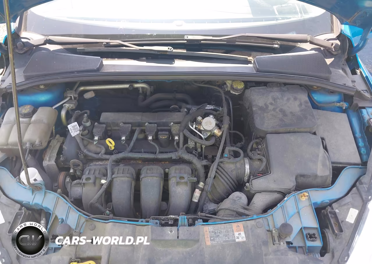 2015 Ford Focus Se VIN:1FADP3K23FL288316 - 10