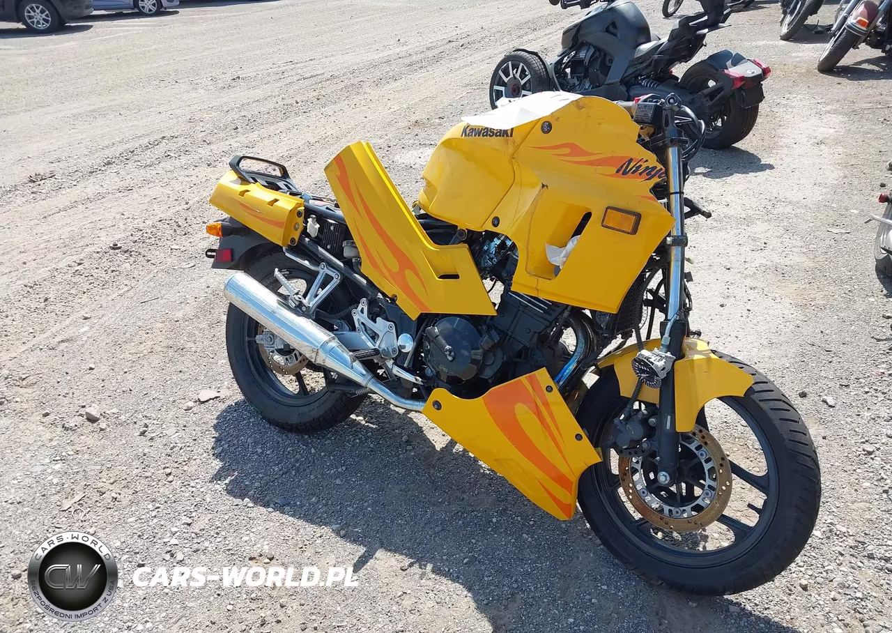 2006 Kawasaki Ex250 F – zdjęcie 1 z 12
