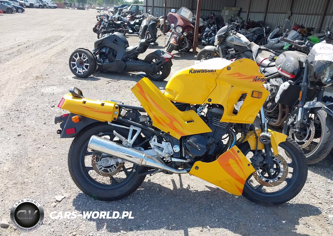 2006 Kawasaki Ex250 F VIN:JKAEXMF156DA19411 - 11