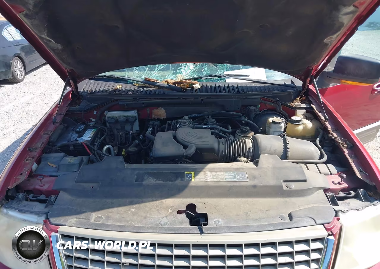 2004 Ford Expedition Eddie Bauer VIN:1FMFU17L44LA51523 - 10