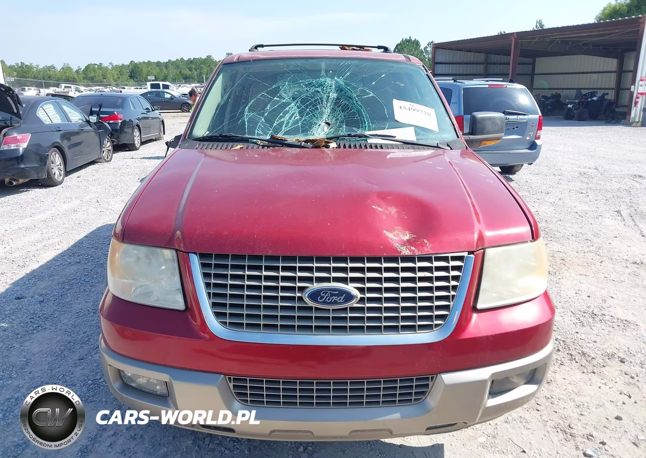 2004 Ford Expedition Eddie Bauer VIN:1FMFU17L44LA51523 - 12