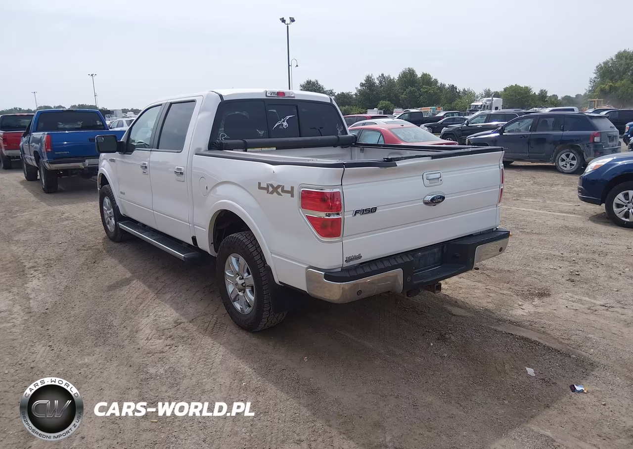 2013 Ford F-150 Fx4-King Ranch-Lariat-Limited-Platinum-Xl-Xlt VIN:1FTFW1ET0DKD78508 - 3