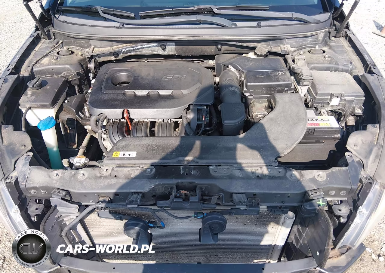 2016 Hyundai Sonata Se VIN:5NPE24AF5GH326612 - 10