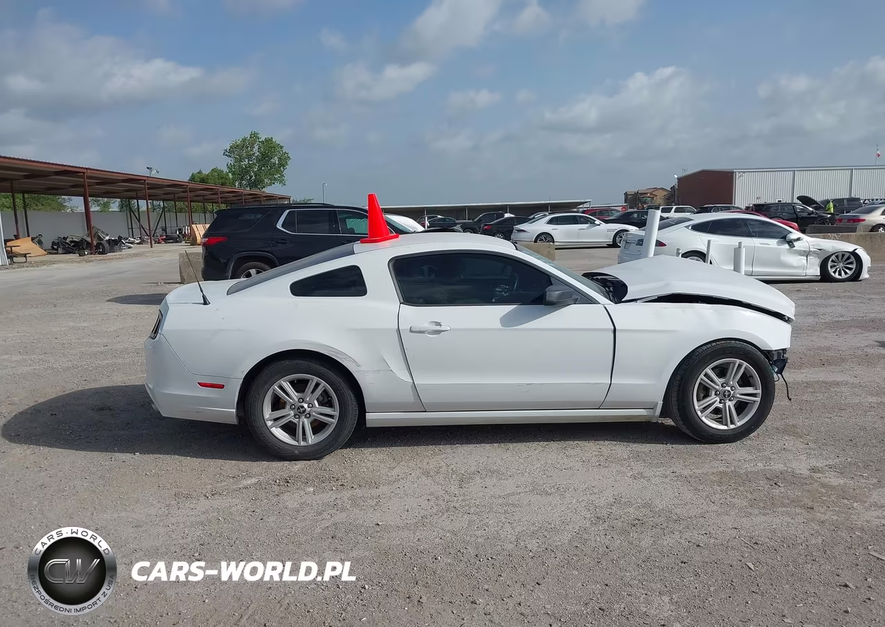 2014 Ford Mustang V6-V6 Premium VIN:1ZVBP8AM6E5274444 - 13