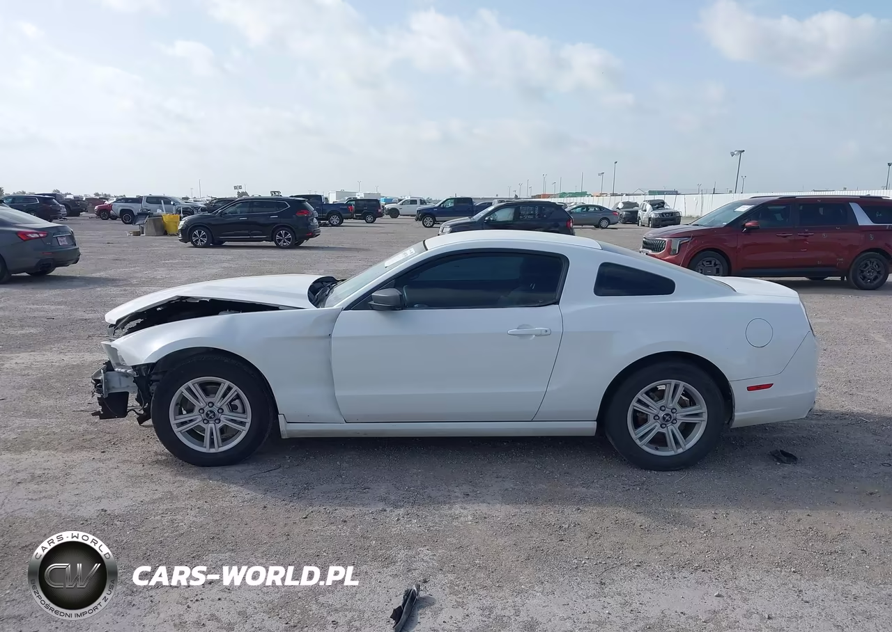 2014 Ford Mustang V6-V6 Premium VIN:1ZVBP8AM6E5274444 - 14