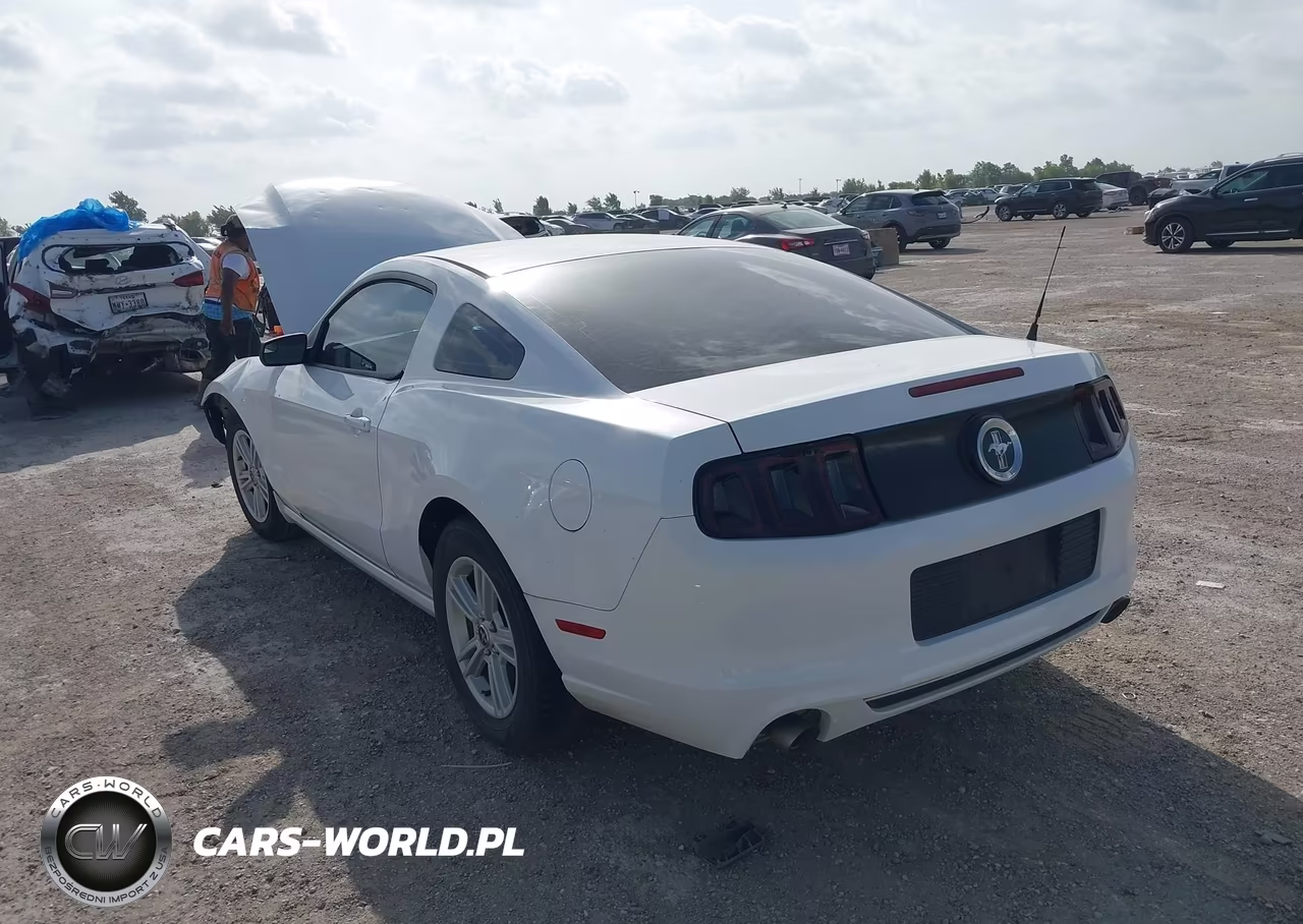 2014 Ford Mustang V6-V6 Premium VIN:1ZVBP8AM6E5274444 - 3