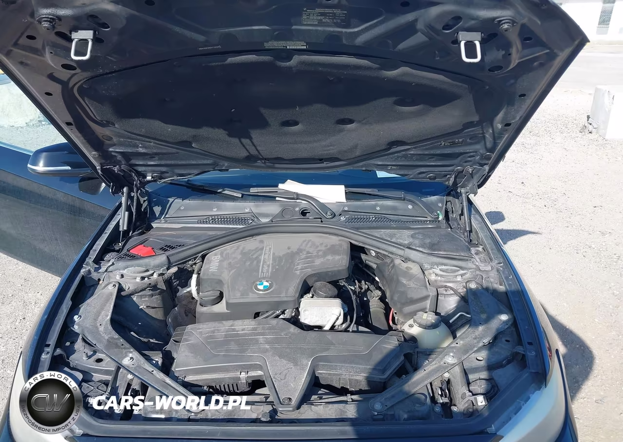 2016 BMW 228I VIN:WBA1K9C56GV710234 - 10