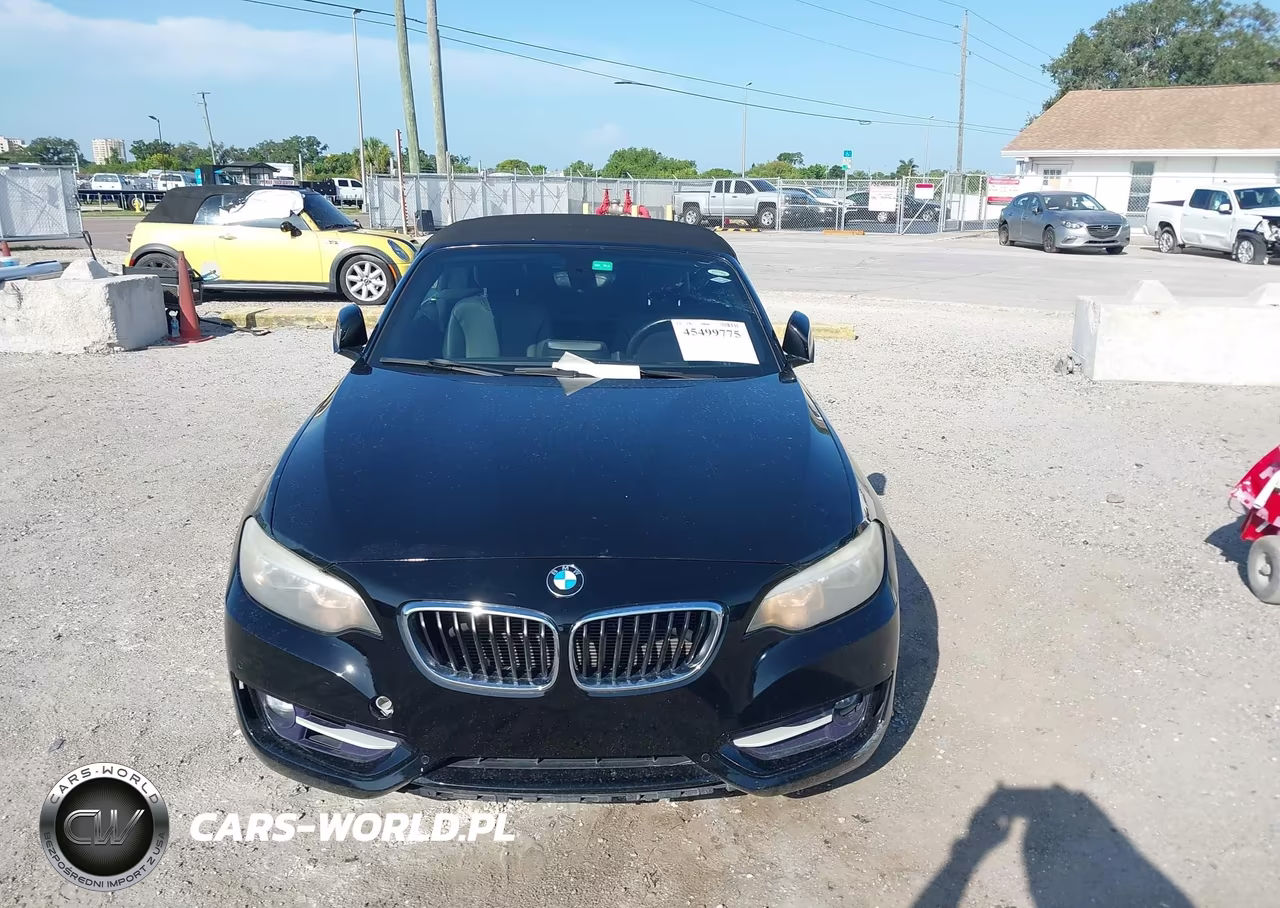 2016 BMW 228I VIN:WBA1K9C56GV710234 - 12