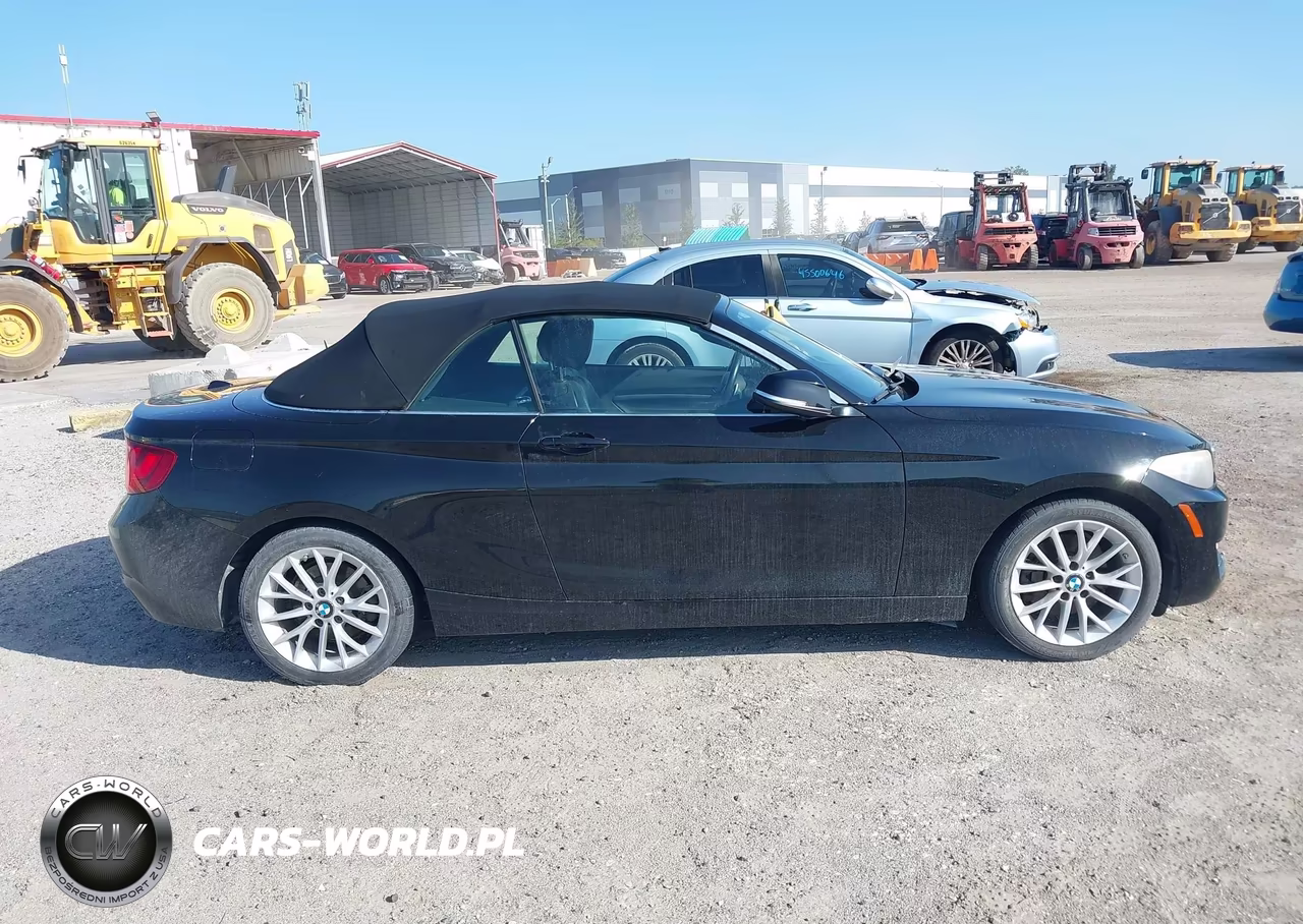 2016 BMW 228I VIN:WBA1K9C56GV710234 - 13