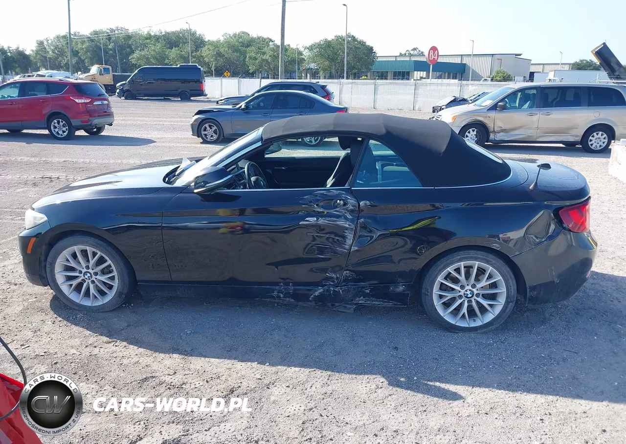 2016 BMW 228I VIN:WBA1K9C56GV710234 - 14