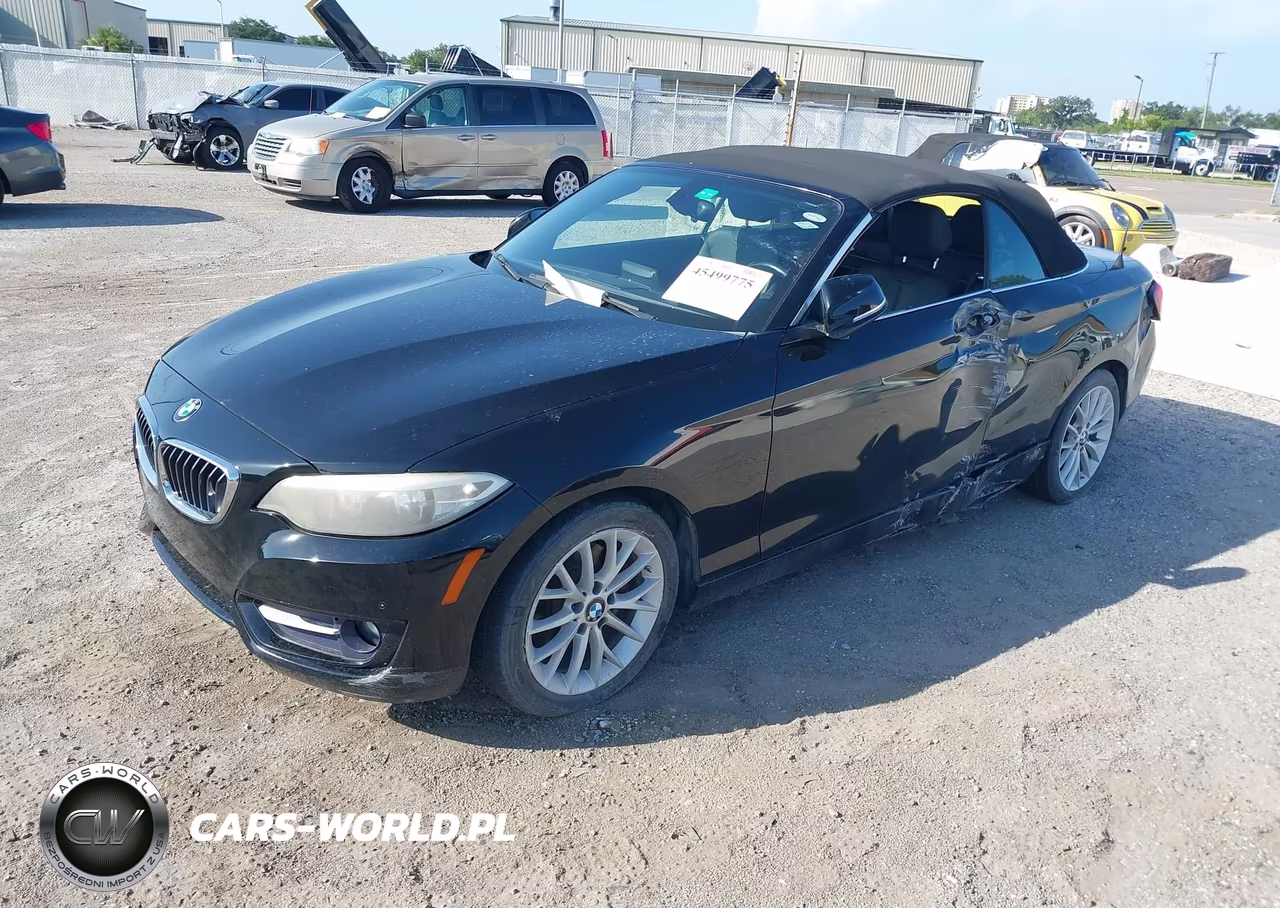 2016 BMW 228I VIN:WBA1K9C56GV710234 - 2