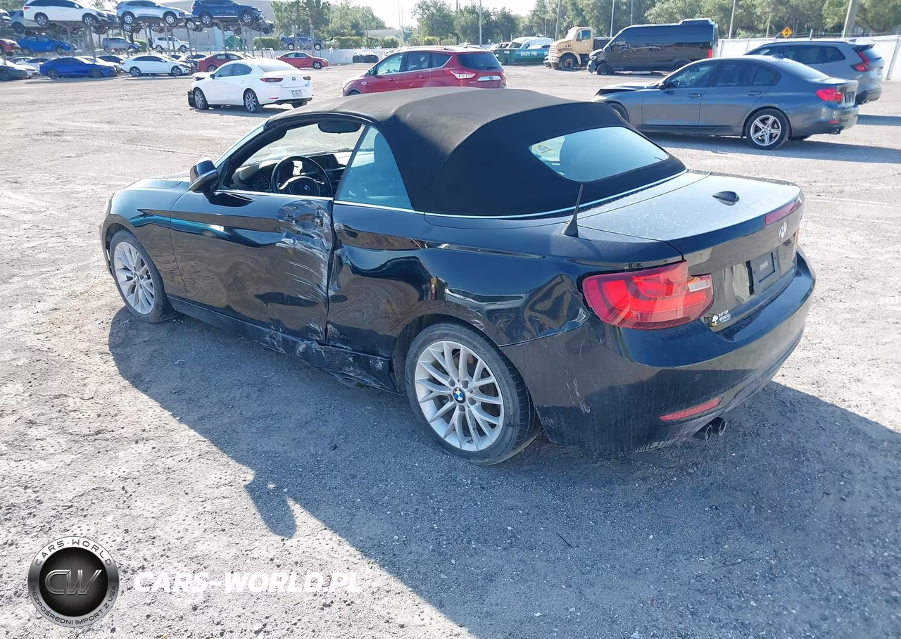 2016 BMW 228I VIN:WBA1K9C56GV710234 - 3