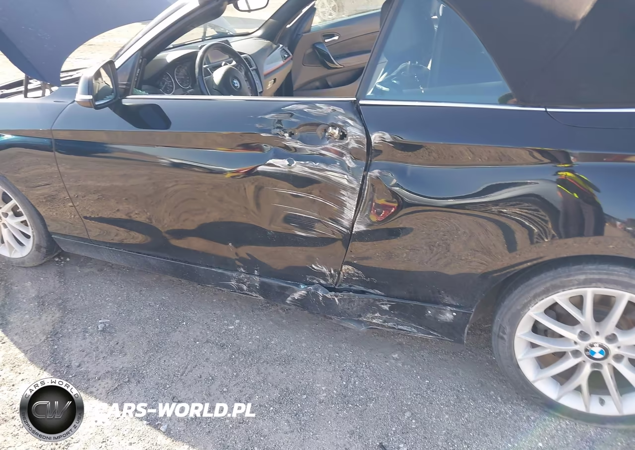 2016 BMW 228I VIN:WBA1K9C56GV710234 - 6