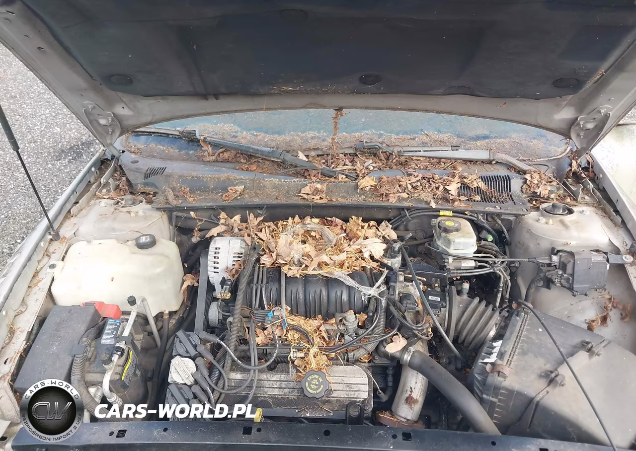 2002 Pontiac Bonneville Se VIN:1G2HX54K224214558 - 10