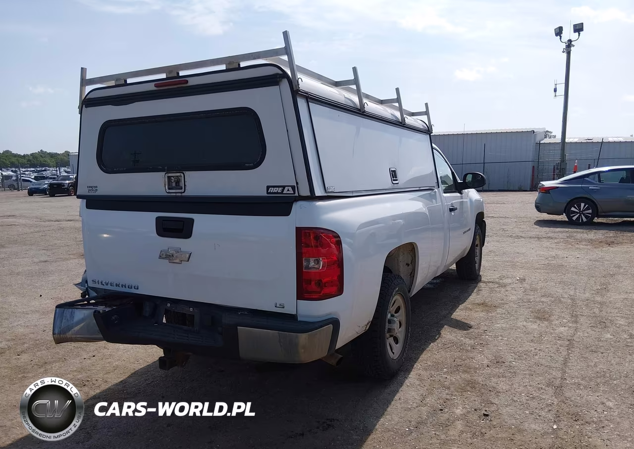 2009 Chevrolet Silverado 1500 Work Truck VIN:1GCEC14J89Z122281 - 4