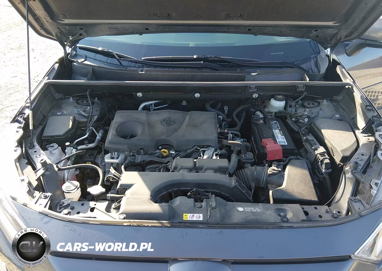 2020 Toyota Rav4 Xle VIN:JTMP1RFV5LJ030581 - 10