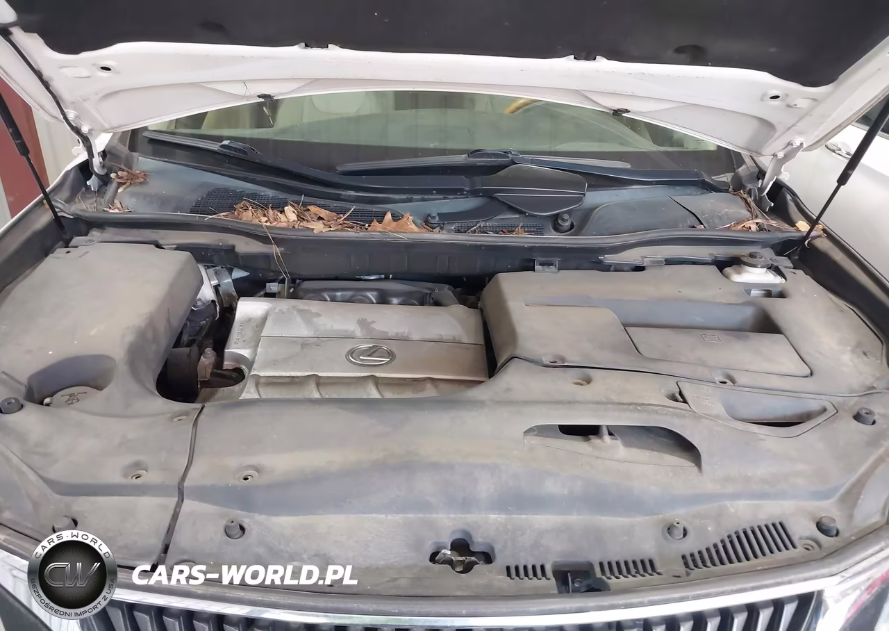 2010 Lexus Rx 350 VIN:2T2BK1BA3AC023693 - 10