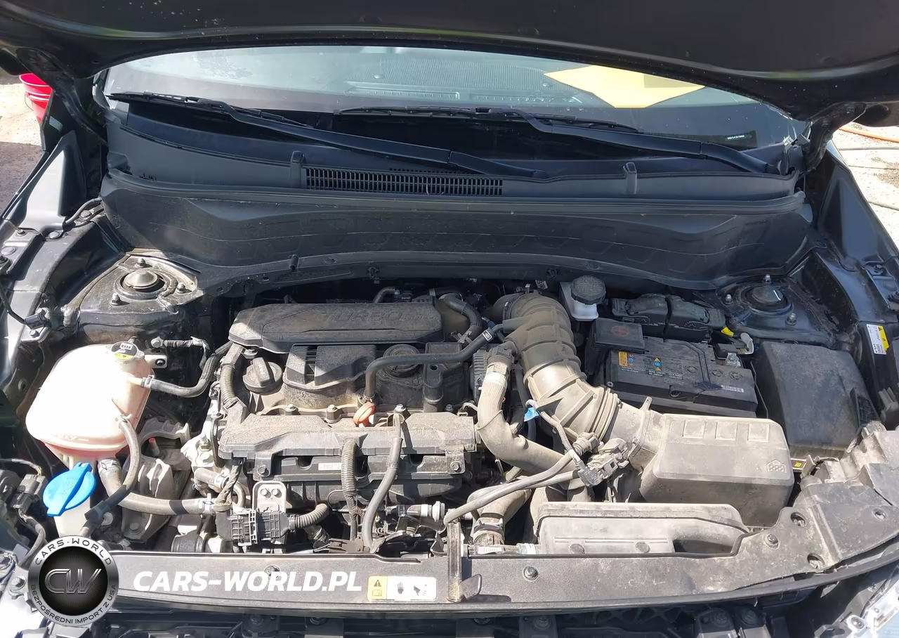 2024 Kia Seltos Sx Turbo VIN:KNDETCA75R7498968 - 10