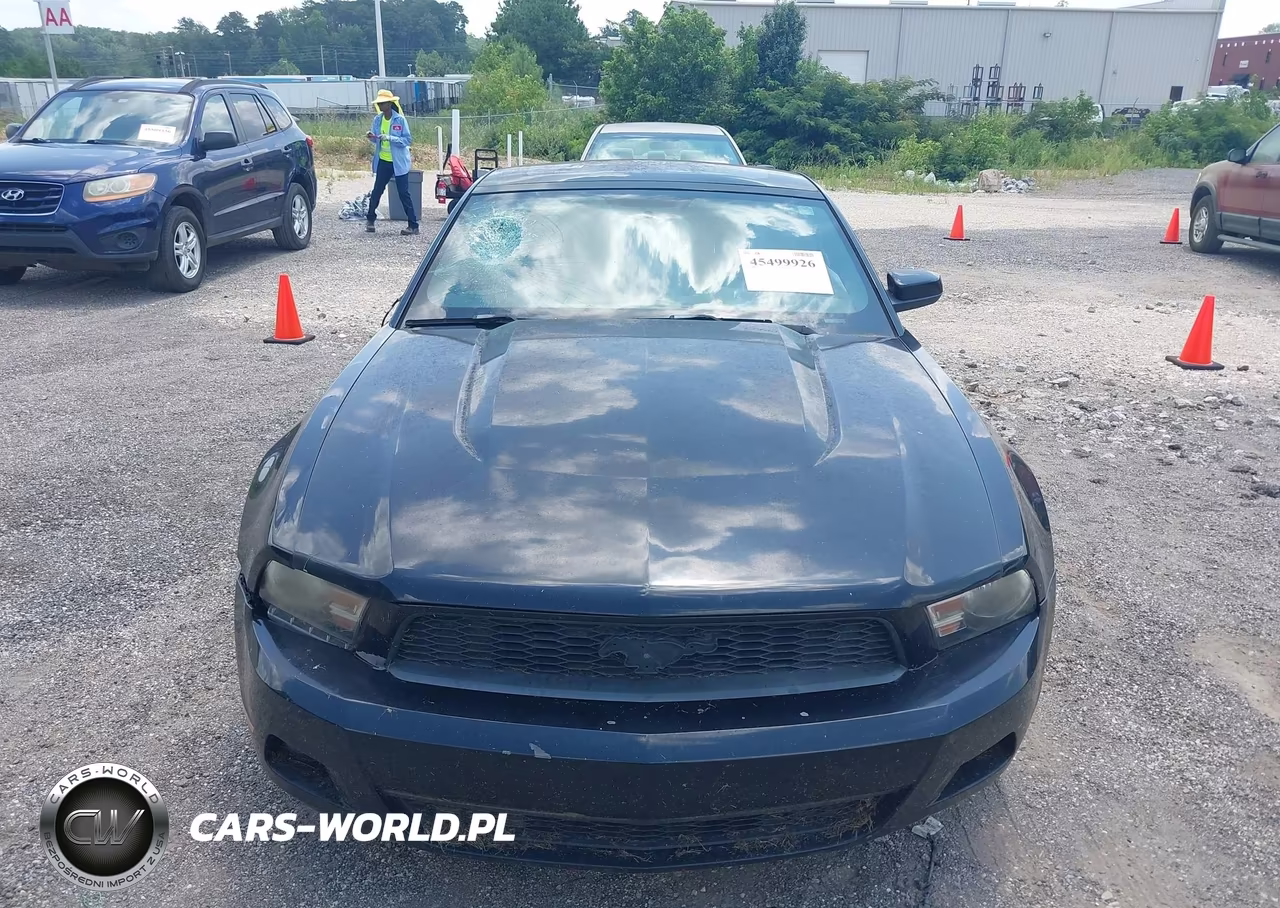 2011 Ford Mustang V6-V6 Premium VIN:1ZVBP8AM1B5101507 - 12