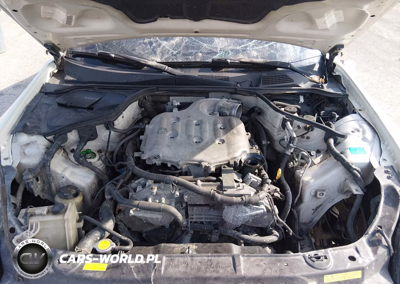 2004 Infiniti G35 VIN:JNKCV54E54M811002 - 10