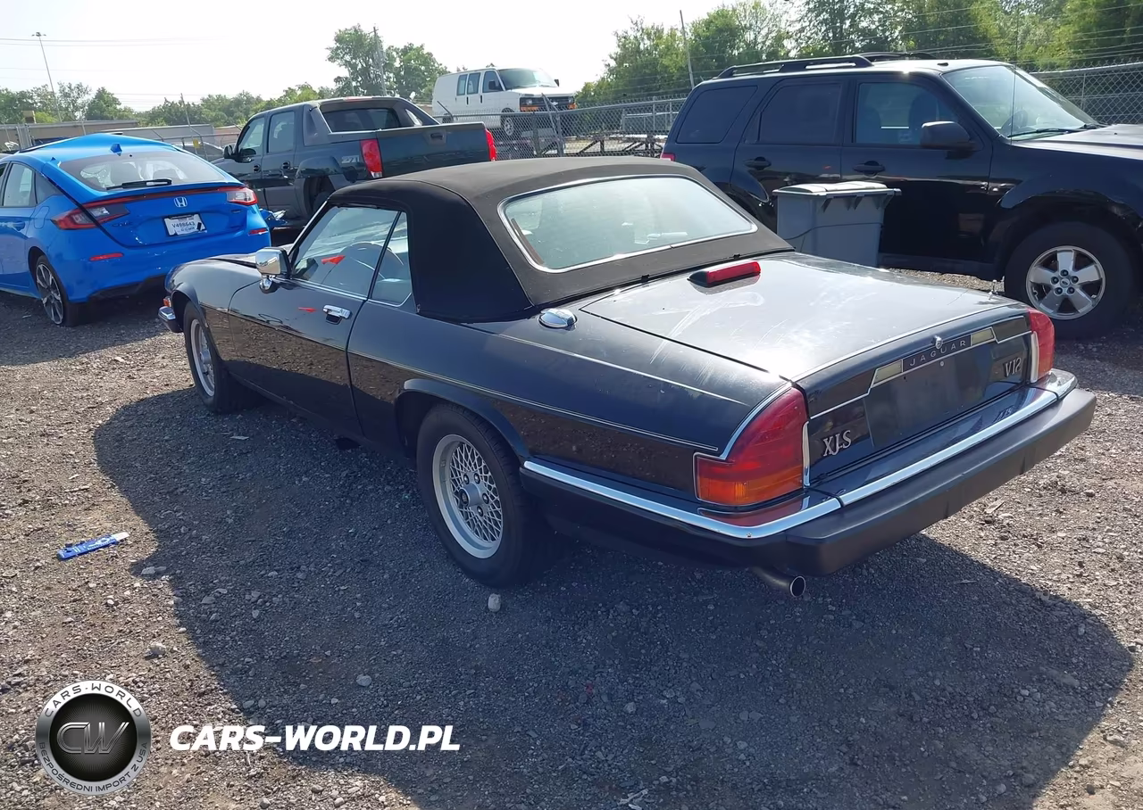 1989 Jaguar Xjs VIN:SAJNV4844KC163601 - 3